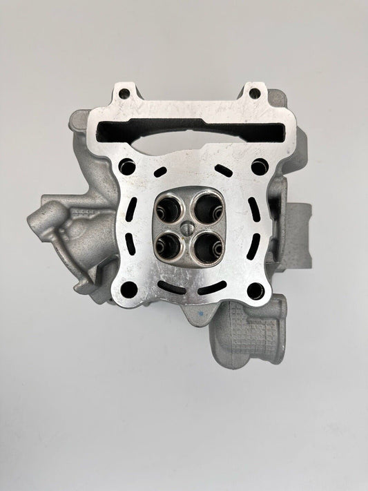 Zylinderkopf für Yamaha YZF-R 125 RE06 WR Beta Fantic Husqvarna