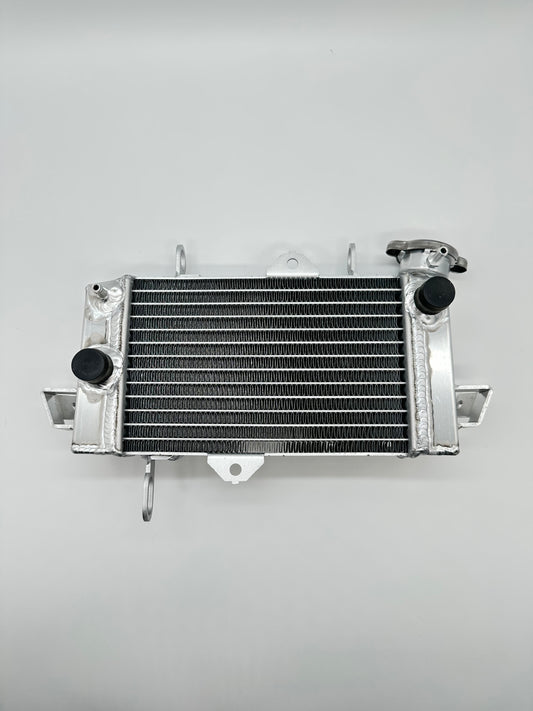 Kühler für Yamaha YZF-R 125 und MT 125 ab Bj.2008